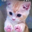 Pushcat Logo