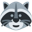 Raccoon Coin Logo