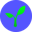 Radicle Logo