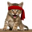 Rambo Kitten Logo