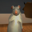 ratomilton Logo