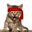 Red Kitten Crew Logo