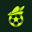 RobinHeadBall Logo