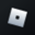 Roblox (Backpack Securities) Logo