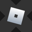Roblox xStock Logo
