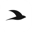 Rune Logo