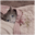 SadCat Logo