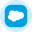 Salesforce (Ondo Tokenized Stock) Logo