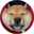 San Chan Logo