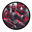 SHAO Logo