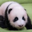 Shũ bảo Logo