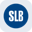 SLB Tokenized Stock (Reality) Logo
