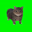 Spinning Cat Logo