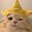 STAR CAT Logo