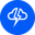 Storm Token Logo