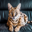Stryker the Cat Logo