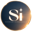 Superior Intelligence Logo