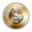 SURF Logo