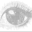 Sydney Logo