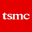 Taiwan Semiconductor ST0x Tokenized Stock Logo