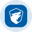 Terawulf (Ondo Tokenized) Logo