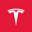 Tesla Coinbase Tokenized Stocks Logo