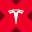 Tesla xStock Logo