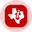Texas Instruments (Ondo Tokenized) Logo