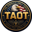 The America Only Token Logo