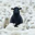 The Black Sheep Logo