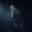 The Greenland Shark Logo