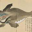 The Japanese Whale Logo