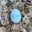 the most watched egg Logo
