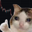 Thumb Logo