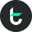 TomoChain ERC-20 Logo