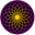 TORUS Logo