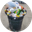 Trash Coin Logo