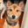 Tsuki Logo