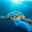 Unbagging The Ocean Logo
