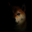 Underdog Logo