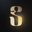USD Slash Logo
