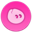 Velyn Cash Logo