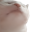 Vibe Cat Logo