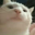 Vibing Cat Logo