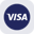 Visa rStock Logo
