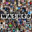 WASHED Logo