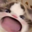 WAWA CAT Logo