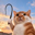 WHIPCAT Logo