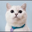 White Coffee Cat Logo