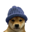 WIF on ETH Logo